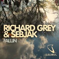 Fallin Artwork